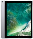 12,9-inch iPad&nbsp;Pro. (2e&nbsp;generatie)